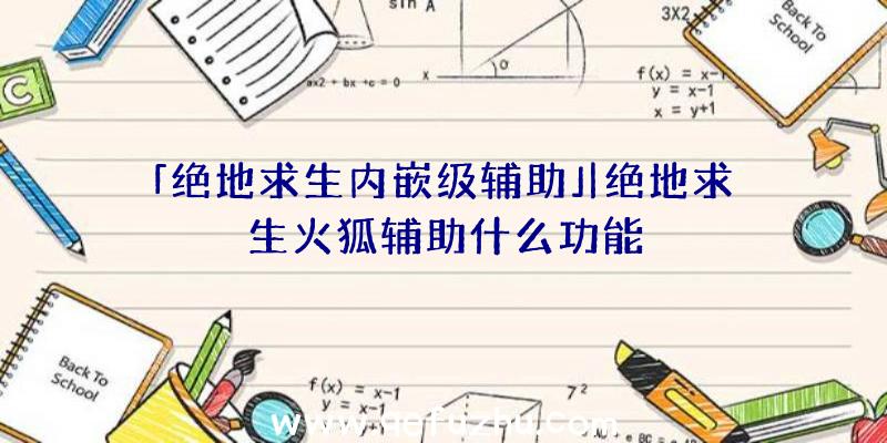 「绝地求生内嵌级辅助」|绝地求生火狐辅助什么功能